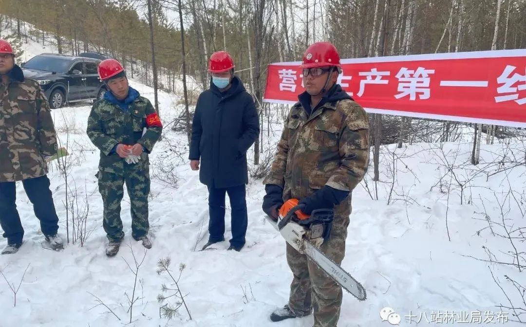 查班河林場(chǎng)深入生產(chǎn)一線 營(yíng)林安全教育培訓(xùn)與網(wǎng)格包保管理落地有聲